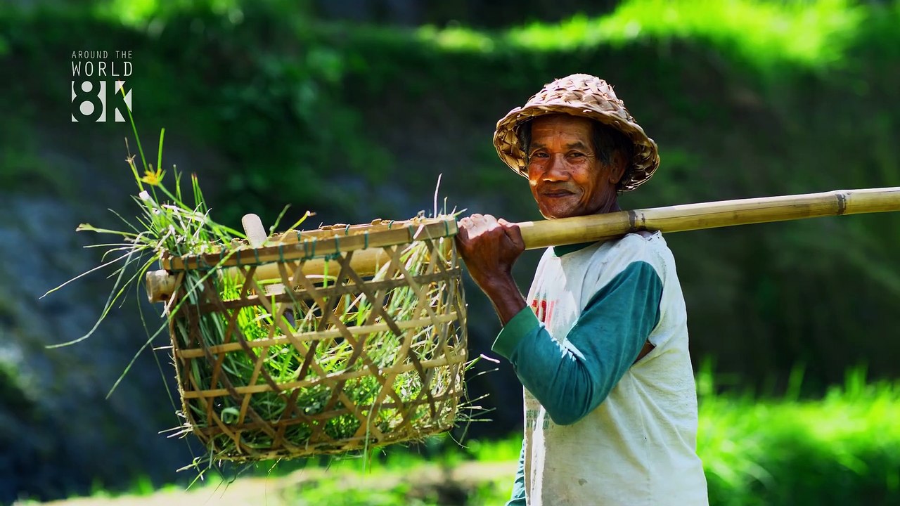 Bali