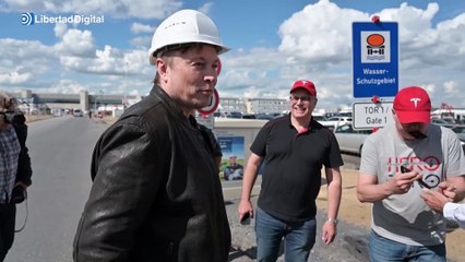 Twitter confirma que mantiene las políticas de moderación tras desarticular una campaña de odio