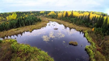 Great Lakes Untamed Season 1 Episode 1 Source to Sea