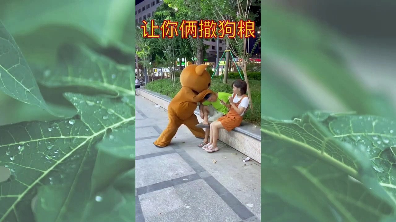 Funny Videos  funny bear #16