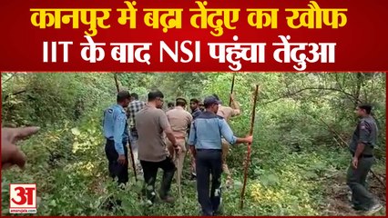 कानपुर में बढ़ा तेंदुए का खौफ IIT के बाद NSI पहुंचा तेंदुआ