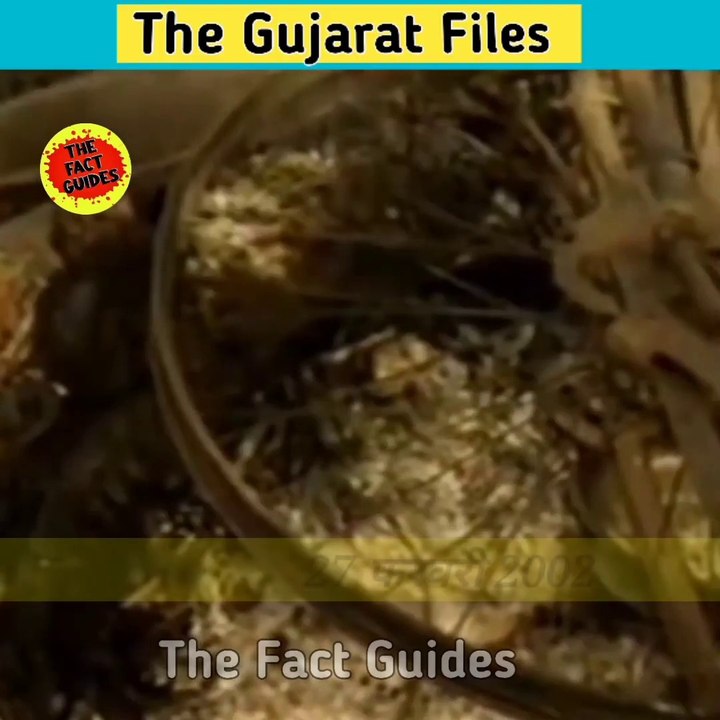 Reality Behind Gujarat Riots / The Gujarat Files  Gujarat Riots  Gujarat Files