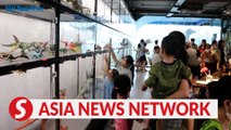 Vietnam News | Cafe and gallery for dinosaur-loving community in HCM City