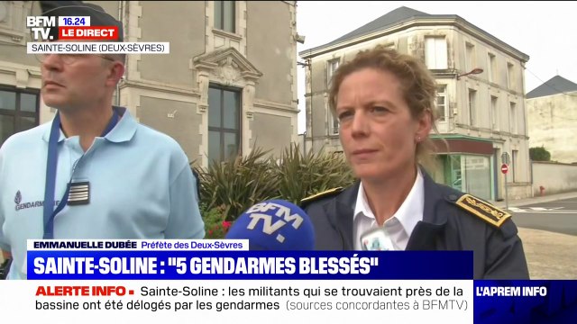 Sainte-Soline: les forces de l'ordre ont essuyé des tirs de mortiers, des cocktails Molotov, des jets de projectiles divers , selon la préfecture