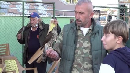 Atmaca ve şahin güzellik festivali düzenlendi