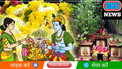 Download Video: Tulsi Vivah 2022 | तुलसी विवाह करने की सरल सटीक व सम्पूर्ण विधि। सामिग्री सहित शुभ मुहूर्त @DKG News ​