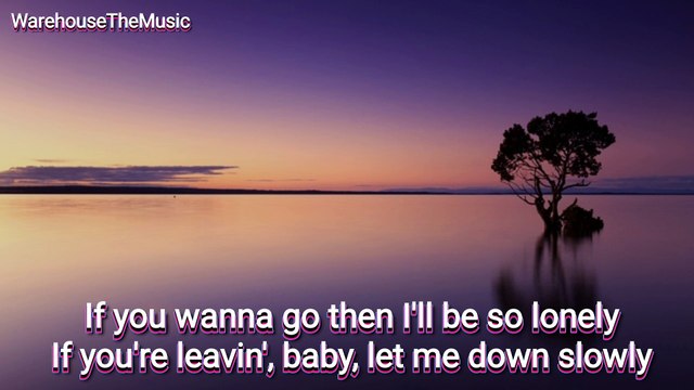 LET ME DOWN SLOWLY - ALEC BENJAMIN / COVER (LYRIC)