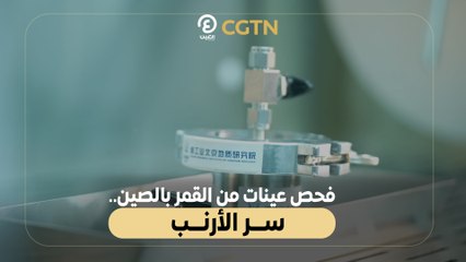 فحص عينات من القمر بالصين.. سر الأرنب