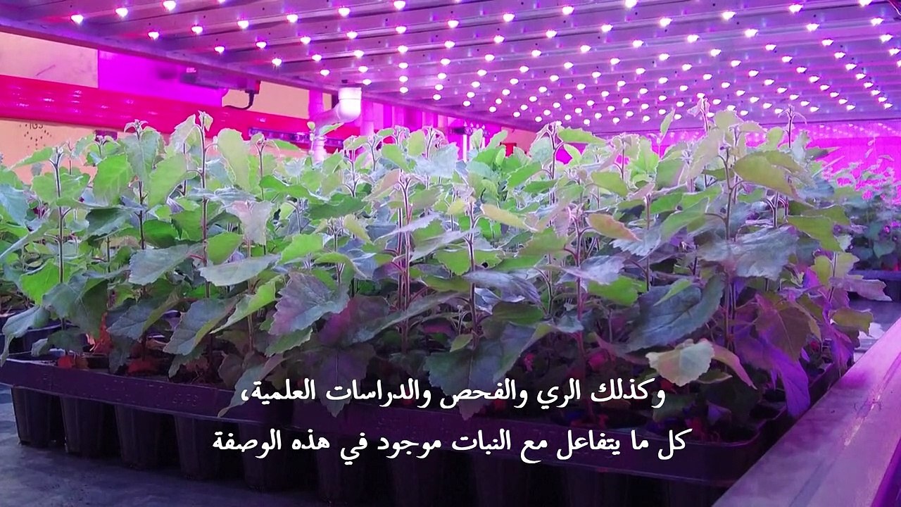 مشتل للزراعة العمودية في اسكتلندا يبعث الأمل في تحقيق الحياد الكربوني