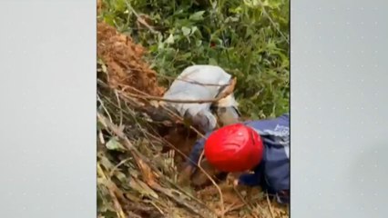 Valle del Cauca: hombre murió sepultado por alud