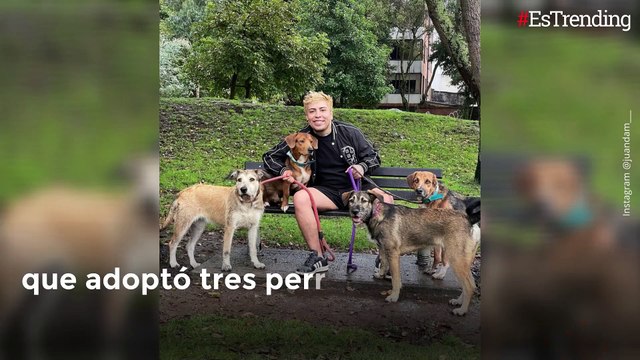 No solo es Chandosa: Pulgosa, Morboso y Pocillo son los otros perros que alegraron la vida de JuanDa
