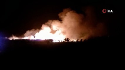 Hatay'da 3 ayrı noktada sazlık yangını