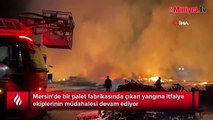 Mersin'de palet fabrikasında korkutan korkutan yangın