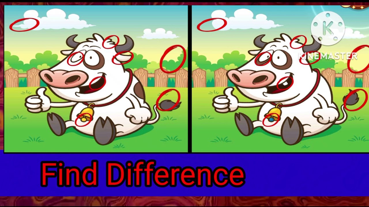 Puzzle video