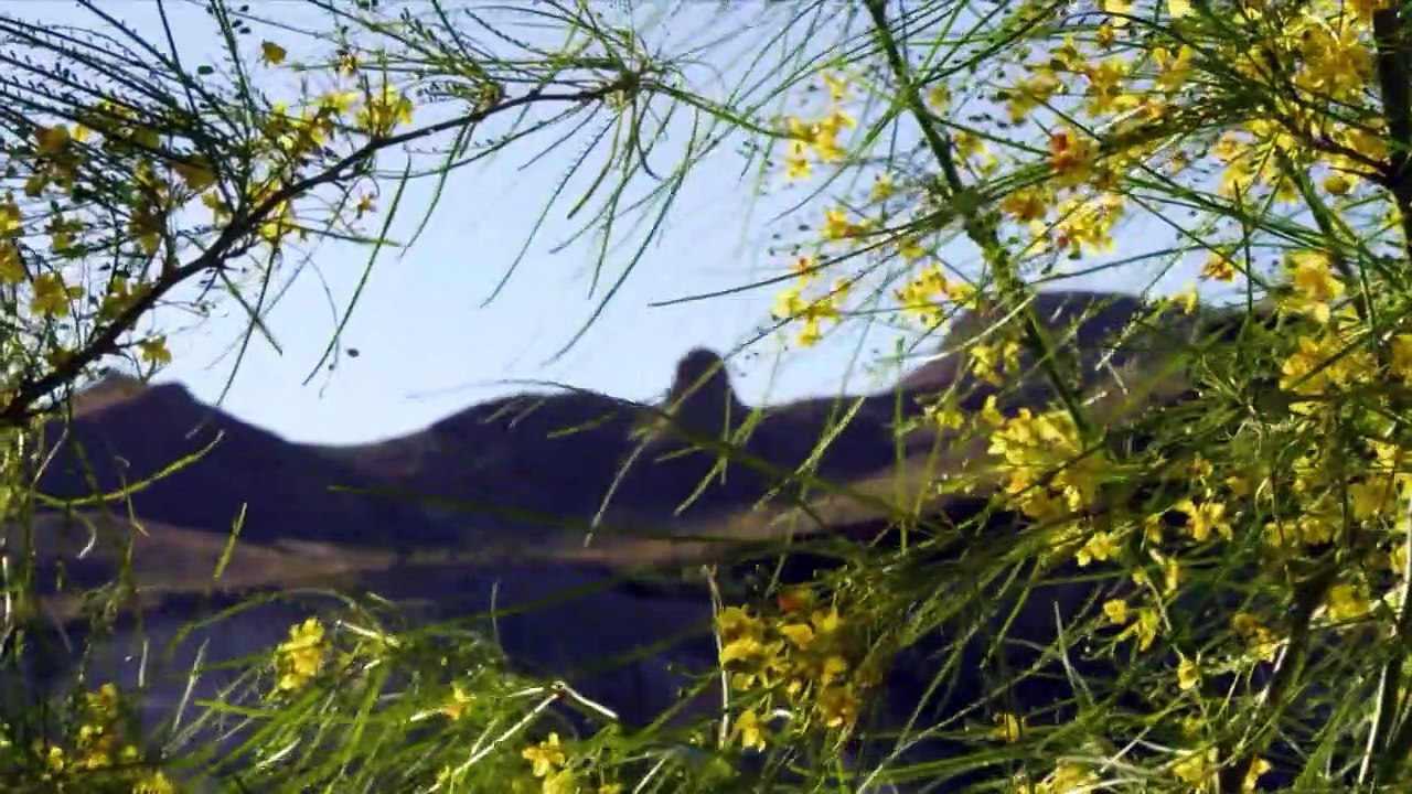 Wildes Amerika  (2018) Staffel 2 Folge 3 HD Deutsch