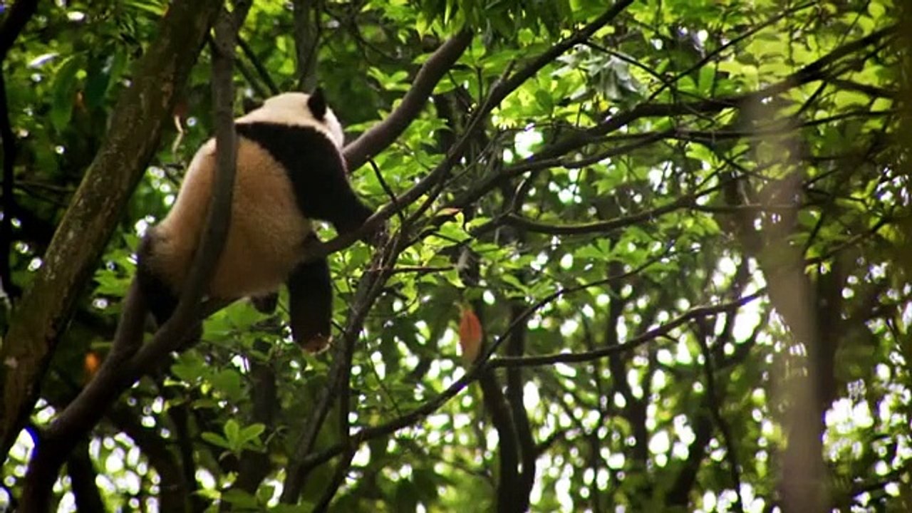 An Idiot Abroad Staffel 3 Folge 3 HD Deutsch