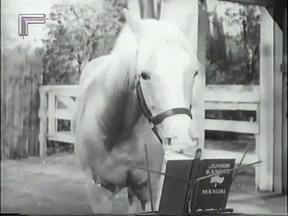 Mr. Ed Staffel 5 Folge 26 HD Deutsch