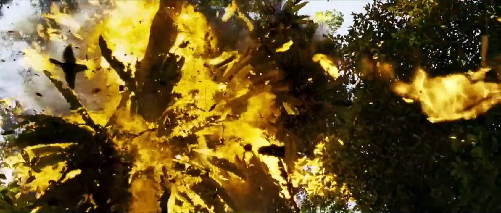 Warriors of the Rainbow Seediq Bale - Part 2 Bande-annonce (EN)