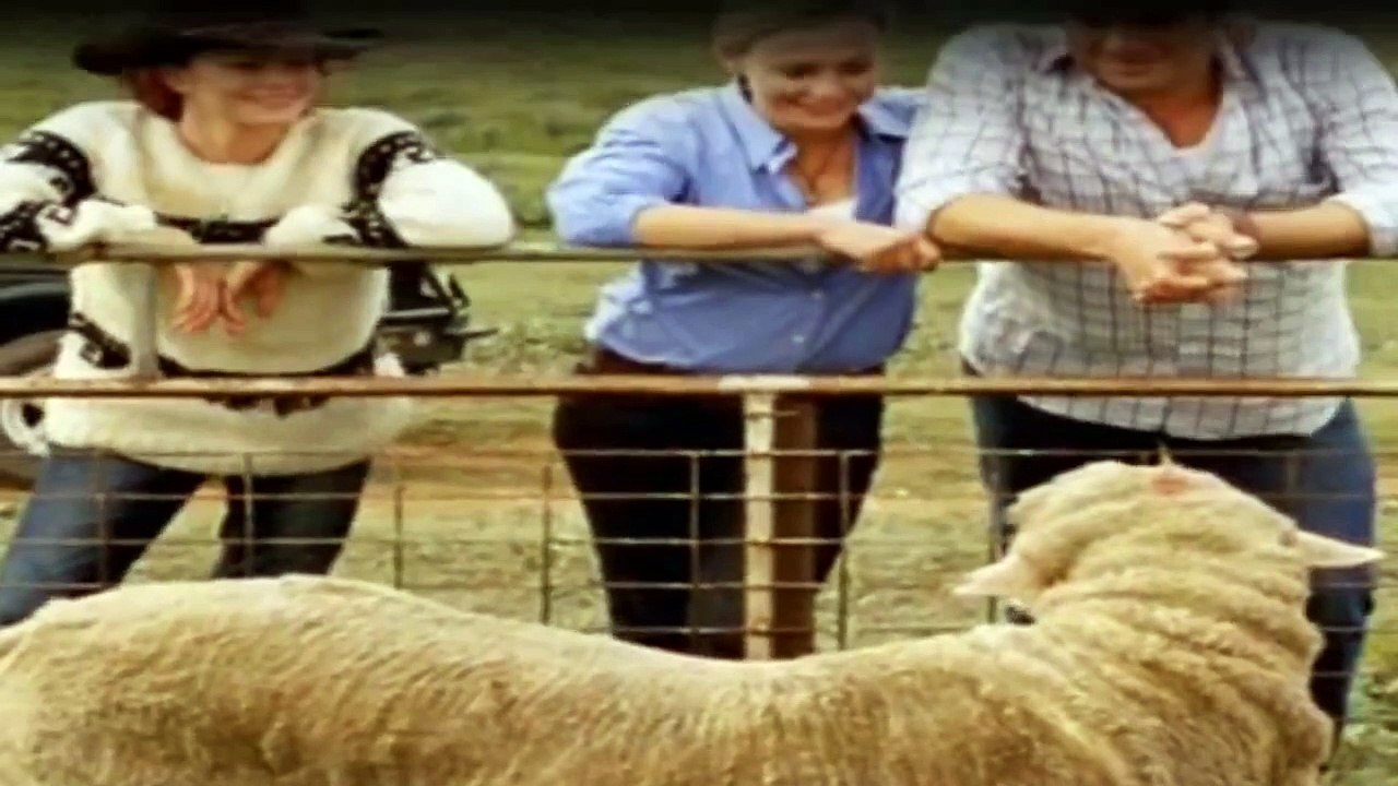 McLeods Töchter Staffel 7 Folge 29 HD Deutsch