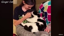 cute-cats-have-the-most-special-relationship-with-their-owner-bffs-cute-cat-moments-ssyoutube.online