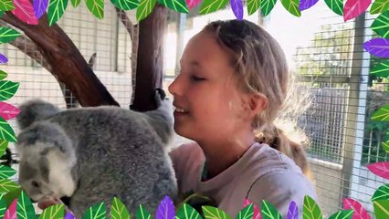 Izzy und die Koalas Staffel 1 Folge 8 HD Deutsch