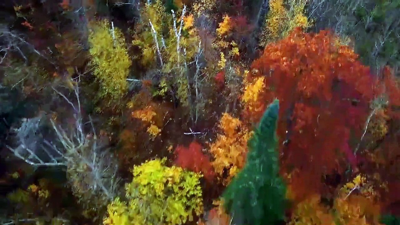 America's Mississippi Staffel 1 Folge 1 HD Deutsch