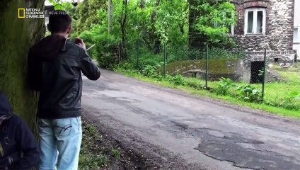 Science of Stupid Wissenschaft der Missgeschicke Staffel 2 Folge 10 HD Deutsch