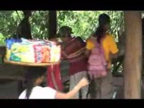 Océan des rizières #2