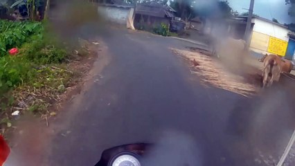 noida ane ki taiyari | train  bike booking main kabhi kisi ko na aaye yesi dikkat