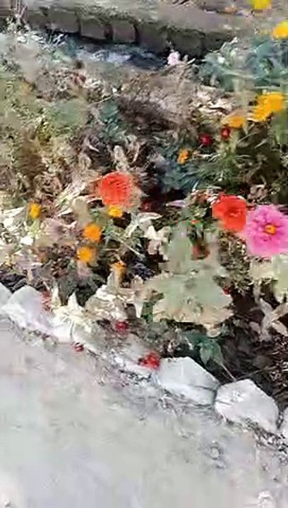 Govt high school murda karez