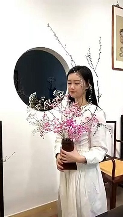 Bonsai Art - Home & Garden Decoration - 369 Ecology News