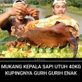 Mukbang Kepala sapi utuh