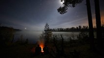 Relaxing Forest Campfire and Nature sound - wind, crickets and owl