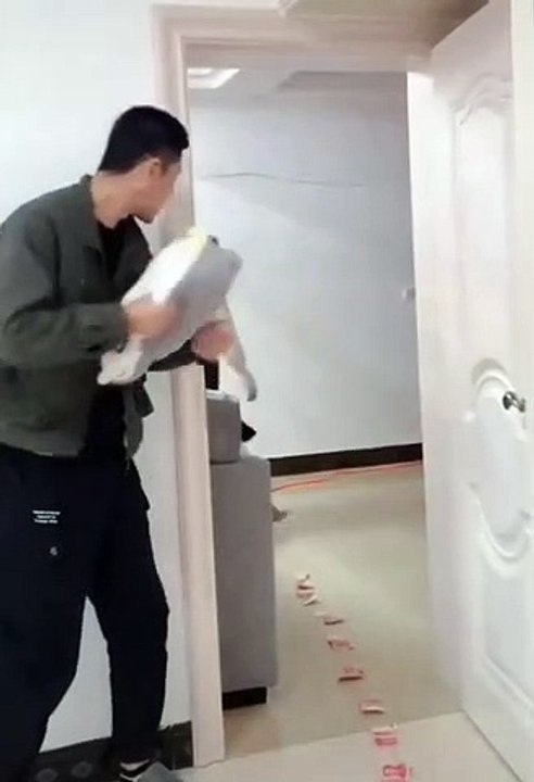 view videos comedy _ funny videos _ 2022 _shorts-funny video
