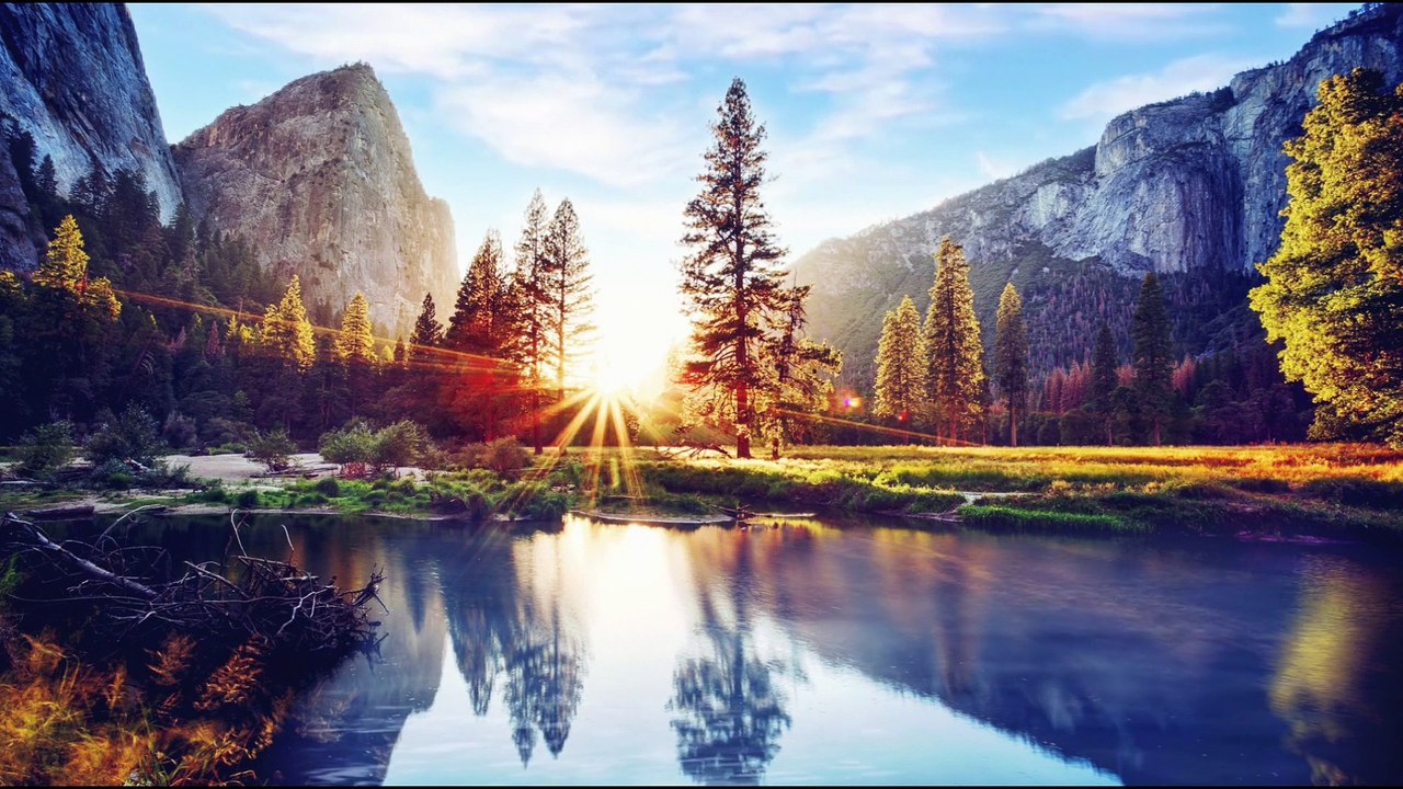 Morning Relaxing Music with Birds singing - Positive Feelings and Energy