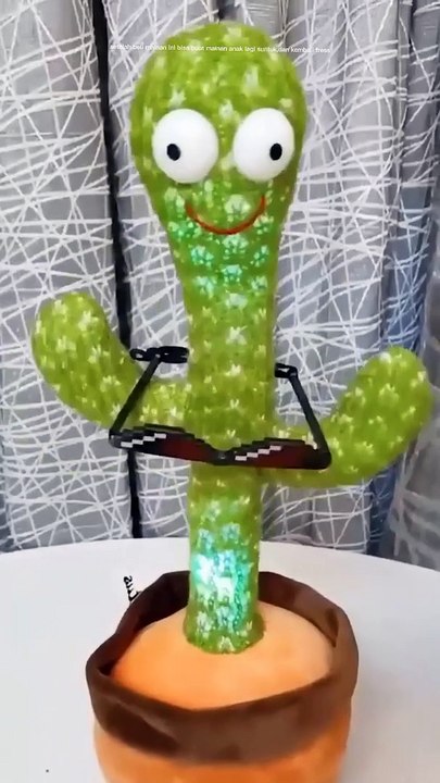 Kaktus bergoyang asyeek