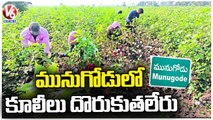 Munugode Farmers Facing Problems With Workers Shortage | Munugode By Election | V6 News