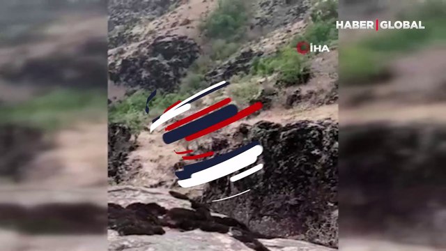 Çobanın yavru boz ayı ile diyaloğu kamerada