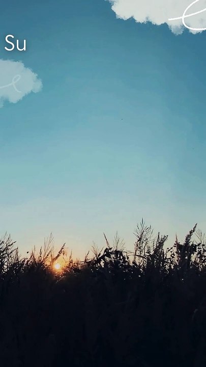 RISING EVERY TIME YOU FALL