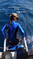 Une petite plongée ça vous dit ? Ou pas...