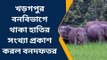 পশ্চিম মেদিনীপুর: হাতিকে উত্যক্ত করলে কী হবে? জানাল বন বিভাগ