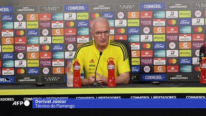 Flamenguistas comemoram o título da Libertadores