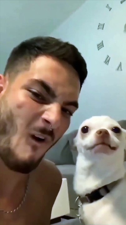 Funny Dog Videos - Don't Dare To Bark At Me | Bark At Your Dog Challenge- Funny Dog Reaction Videos| Pets House