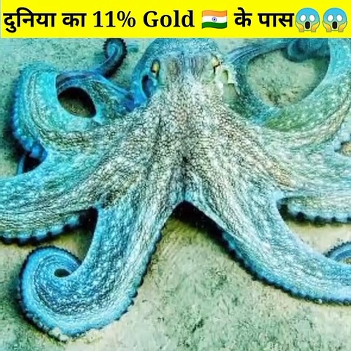 Amazing Facts ।भारत के पास है दुनिया का 11%Gold#shorts#facts
