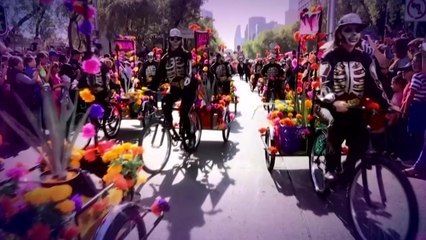 행사 주체 없는 이태원 핼러윈...지자체 책임론 / YTN