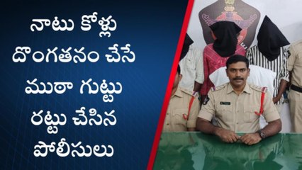 ఎన్టీఆర్ జిల్లా: నాటు కోళ్లు దొంగతనం చేసే ముఠా గుట్టు రట్టు