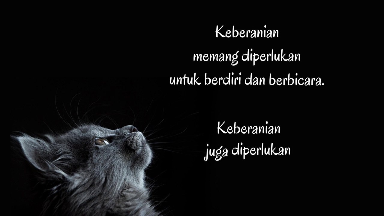 Quotes, Diam dan Menerima