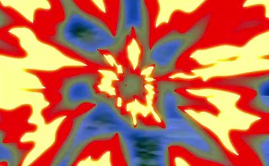 OMG ! Lions Attack Donkey