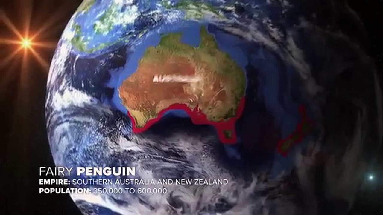 Animal Empires - Se1 - Ep03 - Sanctuary HD Watch HD Deutsch