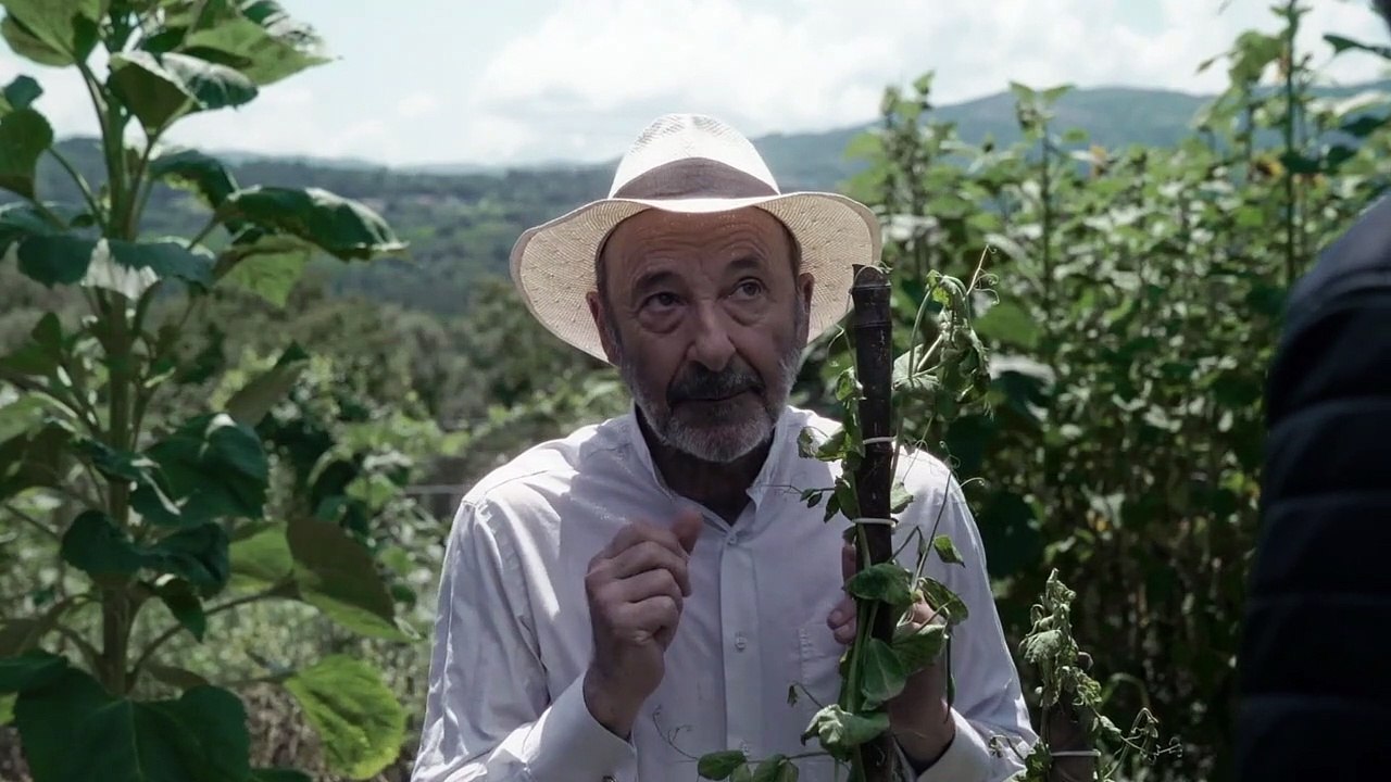 El tirabeque Tráiler